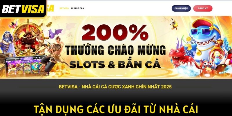 Tận dụng các ưu đãi từ nhà cái để có thêm vốn cược